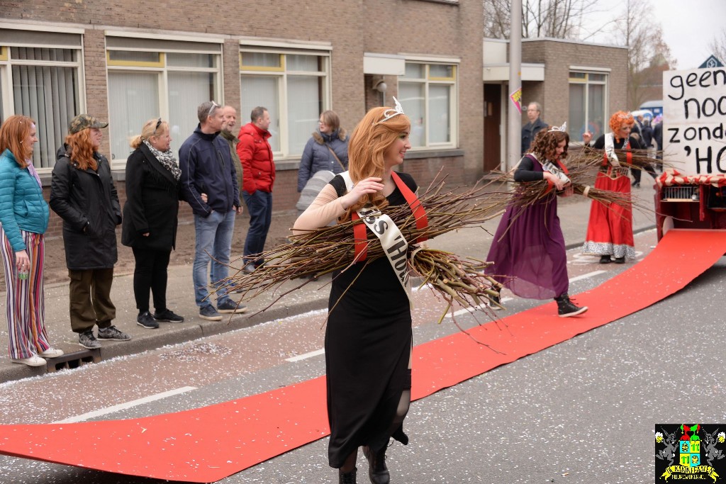 ../Images/Grote optocht 2019 202.jpg